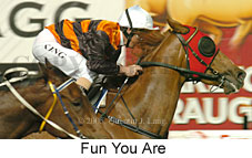 Fun You Are (17134 bytes)