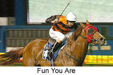 Fun You Are (17134 bytes)