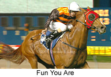 Fun You Are (17134 bytes)