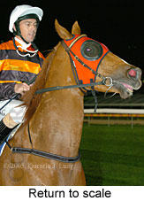 Return to scale (14699 bytes)