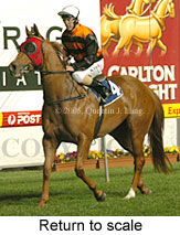 Return to scale (14699 bytes)