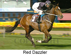 Red Dazzler (17134 bytes)