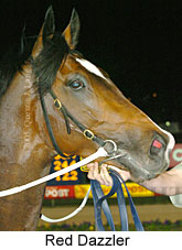 Red Dazzler (17134 bytes)