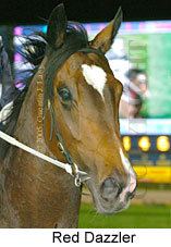 Red Dazzler (17134 bytes)