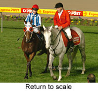 Return to scale (14699 bytes)