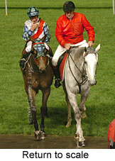 Return to scale (14699 bytes)