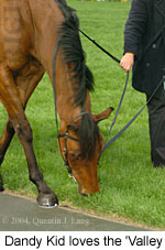 Dandy Kid (18294 bytes)