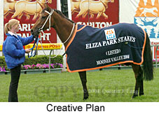 Creative Plan (18294 bytes)