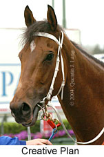 Creative Plan (18294 bytes)