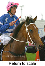 Return to scale (18294 bytes)