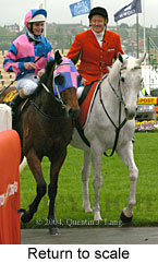 Return to scale (18294 bytes)