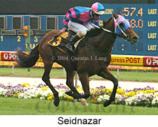 Seidnazar (18294 bytes)