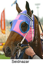 Seidnazar (18294 bytes)