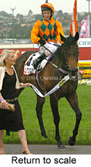 Return to scale (18294 bytes)