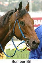 Bomber Bill (18294 bytes)