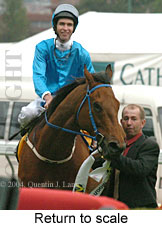 Return to scale (18294 bytes)