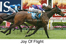 Joy Of Flight (18294 bytes)