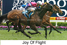 Joy Of Flight (18294 bytes)