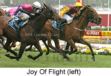 Joy Of Flight (18294 bytes)