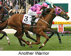 Another Warrior (18294 bytes)