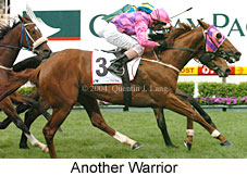 Another Warrior (18294 bytes)