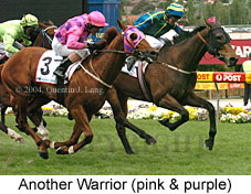 Another Warrior (18294 bytes)