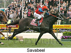 Savabeel (18294 bytes)