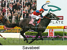 Savabeel (18294 bytes)