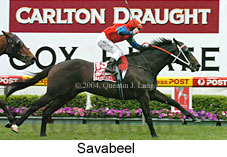 Savabeel (18294 bytes)