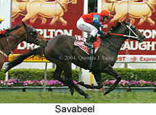 Savabeel (18294 bytes)