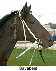 Savabeel (18294 bytes)