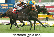 Plastered (18294 bytes)