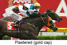 Plastered (18294 bytes)