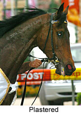 Plastered (18294 bytes)