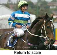 Return to scale (18294 bytes)