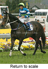 Return to scale (18294 bytes)