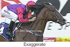 r2exaggerate.jpg (10446 bytes)