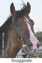 r2exaggerate2.jpg (7386 bytes)