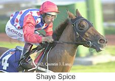 r3shayespice.jpg (9910 bytes)