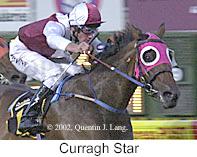 r4curraghstar.jpg (10506 bytes)