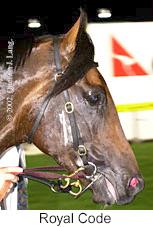 r5royalcode2.jpg (9667 bytes)