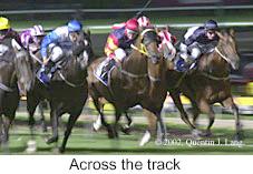 r6field.jpg (11646 bytes)