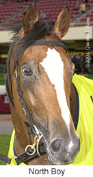 r2northboy2.jpg (13759 bytes)