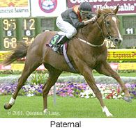 r3paternal.jpg (17861 bytes)