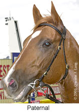 r3paternal2.jpg (12374 bytes)