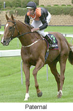 r3paternal3.jpg (12914 bytes)