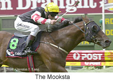 r4themooksta.jpg (15671 bytes)