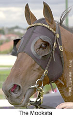 r4themooksta2.jpg (11936 bytes)