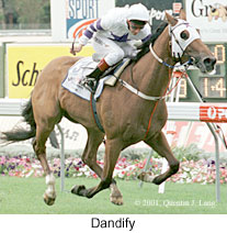 r5dandify.jpg (19284 bytes)