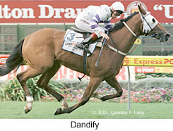 r5dandify2.jpg (20279 bytes)